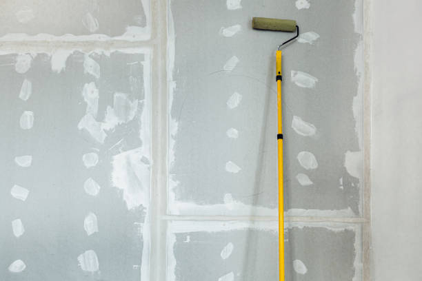 Best Mold Remediation for Healthcare Facilities  in Mississippi State, MS