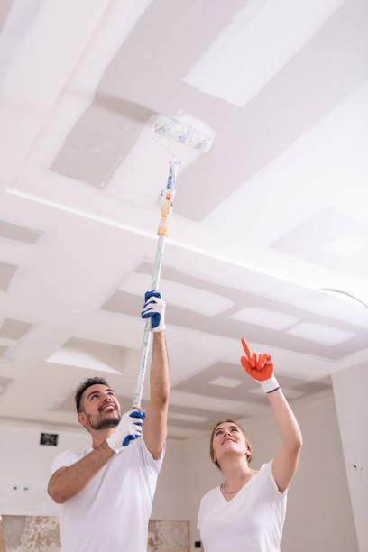 Best Mold Remediation for Rental Properties  in Mississippi State, MS